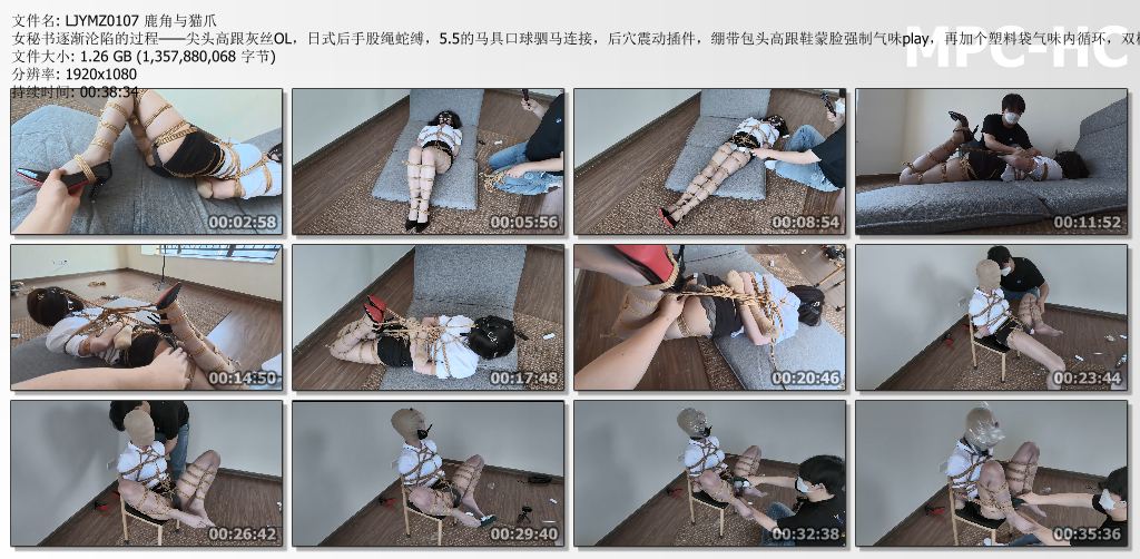 鹿角与猫爪_女秘书逐渐沦陷的过程.jpg